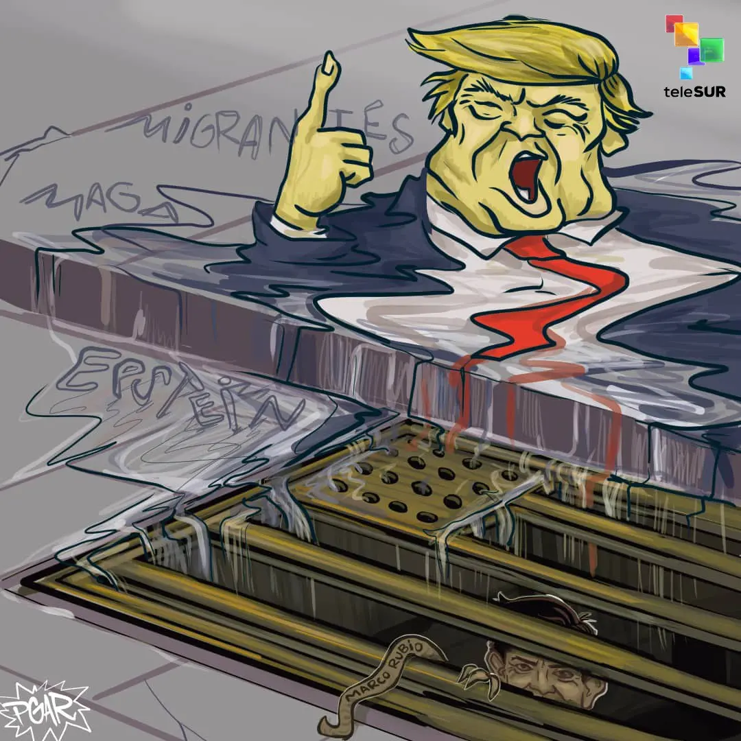 photo 4969912520739064731 y.jpg