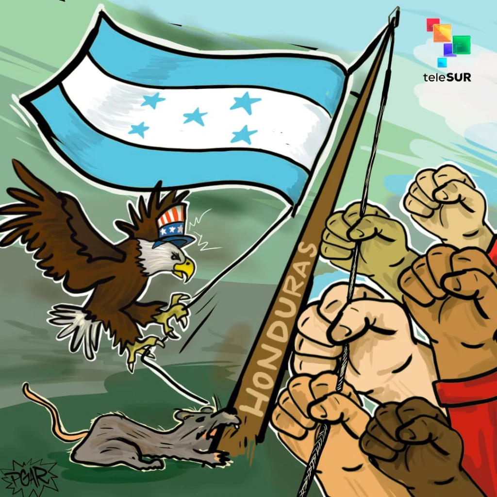 photo 5001537417206500107 y