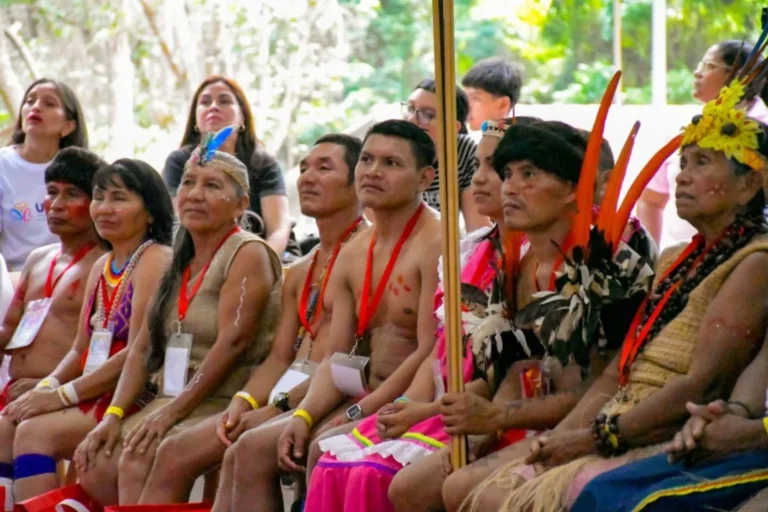 pueblos indigenas