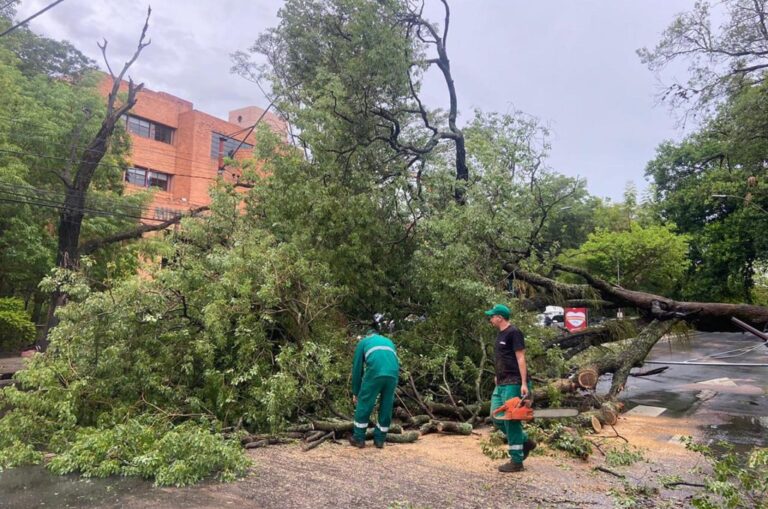 tormenta paraguay