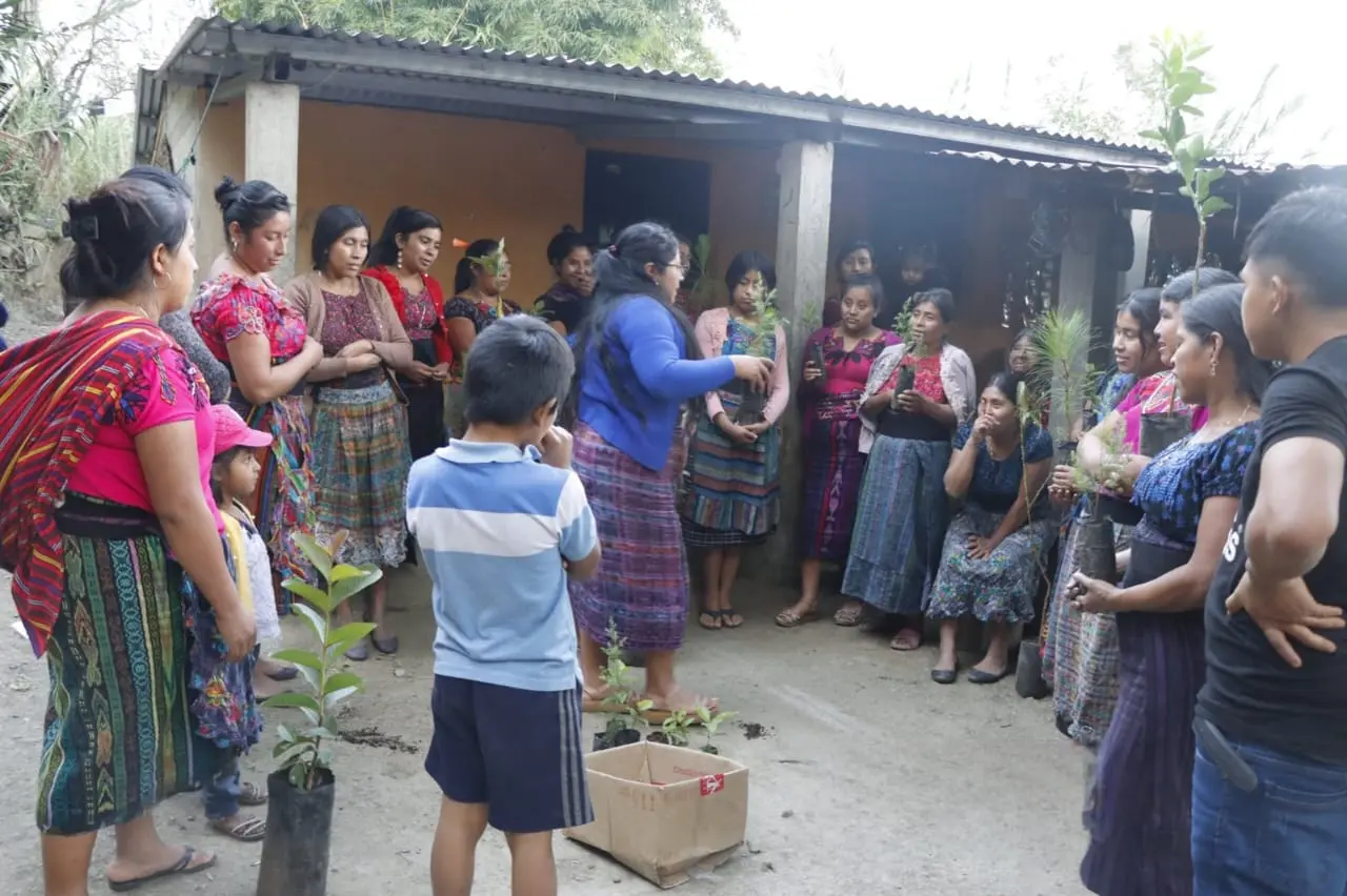 whatsapp image 2025 11 17 at 2 29 52 pm.jpeg