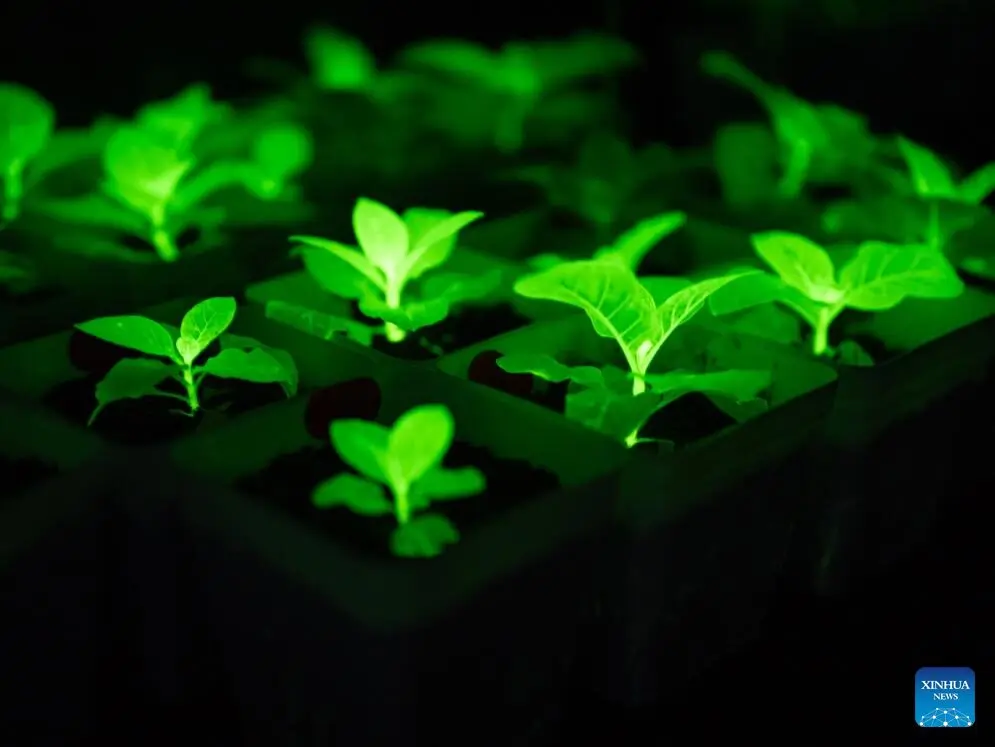 20251213cdd8896816f64992b06c2f5da2da8617 202512139a40b32a953846c1acfd6959c90b0abd.jpg