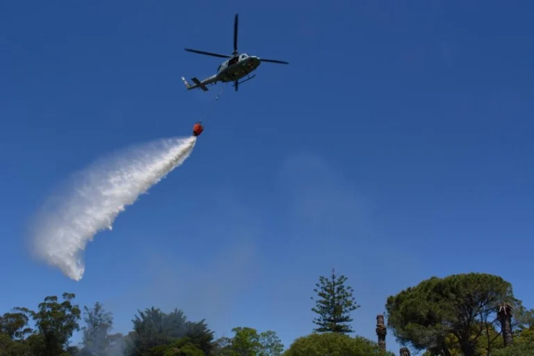 487376478 1079938977508955 4000990070109684876 n