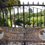 4978f88995e9e09504d18a87c874a7d2