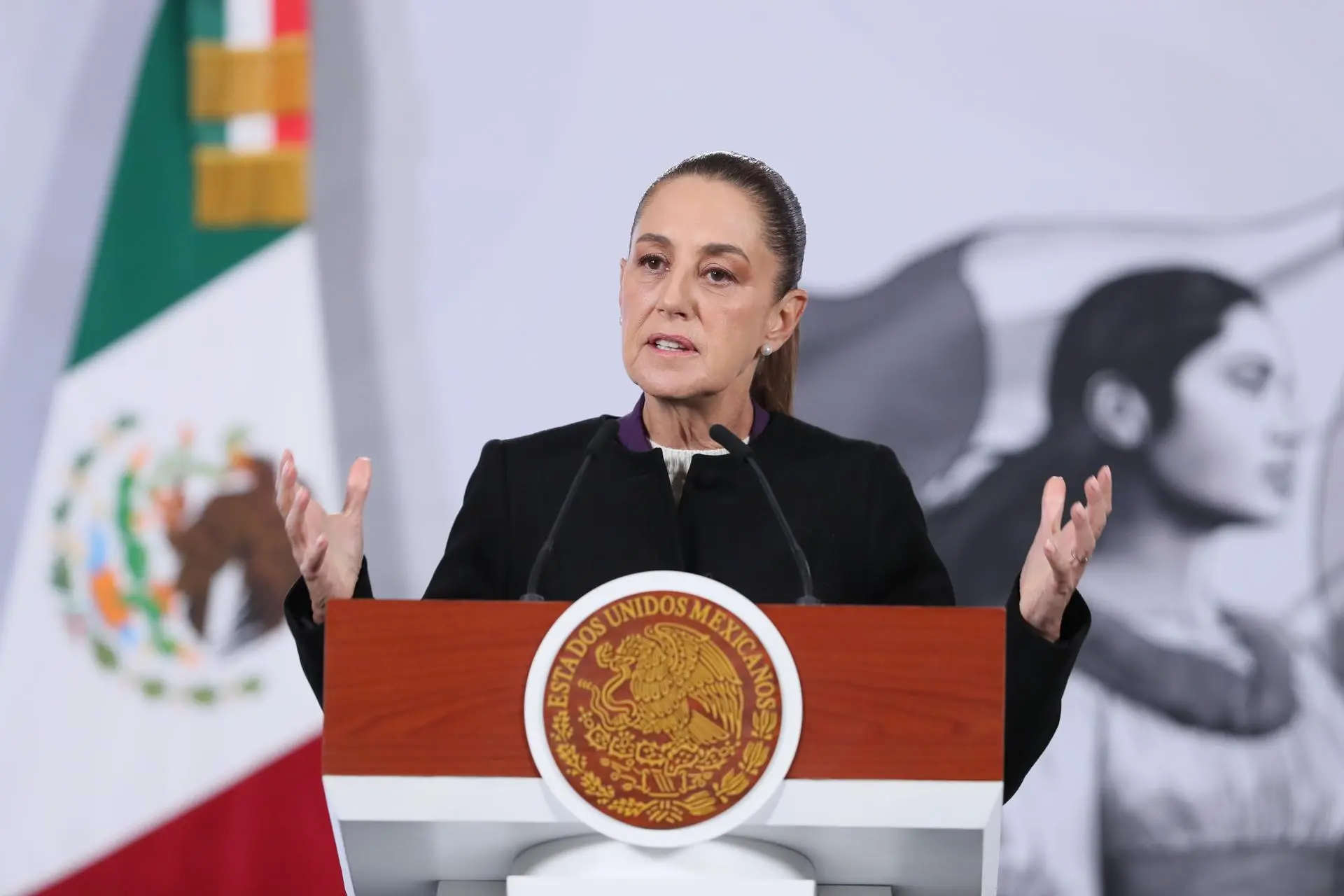 b9e0a5fa4205869942c4fbb45daf8980e94ea6a8w 1.jpg