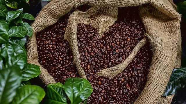 Política de aranceles cero de China estimula la exportación de café de Uganda