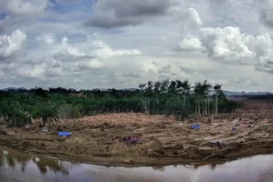 cceebb119e411c573921c414ae4f3d422ea04c9dw