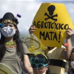 contaminacion por agrotoxicos