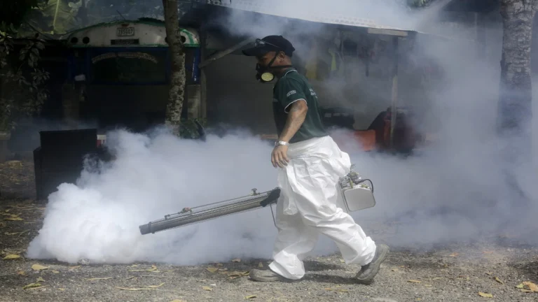 panama dengue