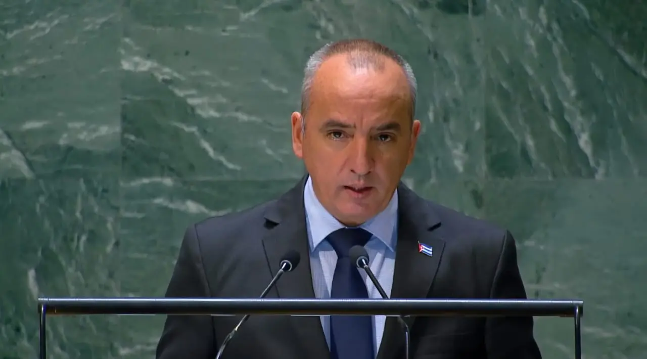 whatsapp image 2025 12 18 at 14 05 24.jpeg