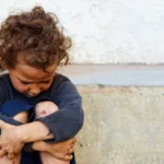 whatsapp image 2025 12 22 at 12 53 19