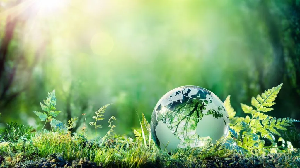 BRICS y el clima: acciones conjuntas para un futuro sostenible 2 11