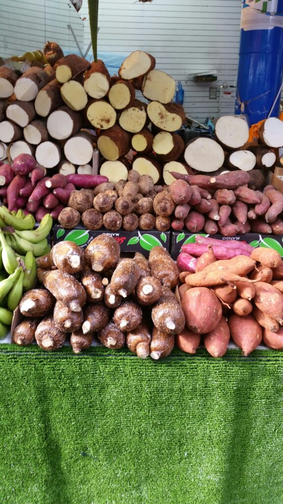 2 frutos de la tierra