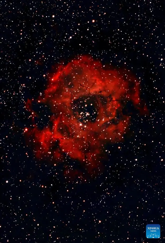 2026012207b60f3586ba4e65b5df7d1e345a8424 20260122b7381fb1749b41a094dbccd035c686d4.jpg