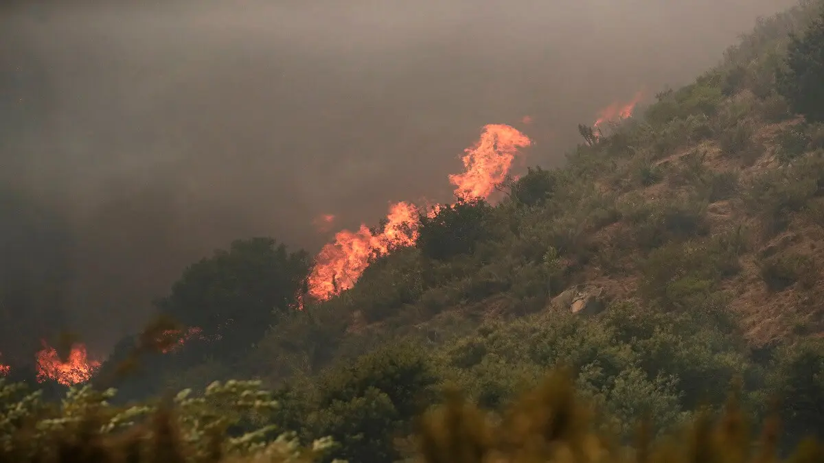 chile incendios.jpg