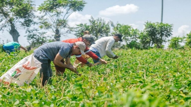 colombia adjudicacion tierras foto radio nacional colombia