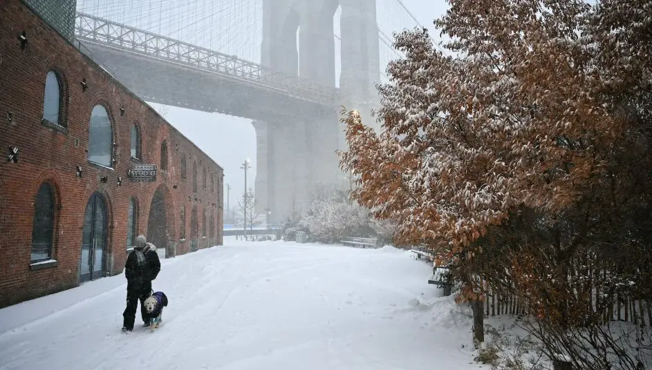 Mueren al menos 10 personas por tormenta invernal en EE. UU.
