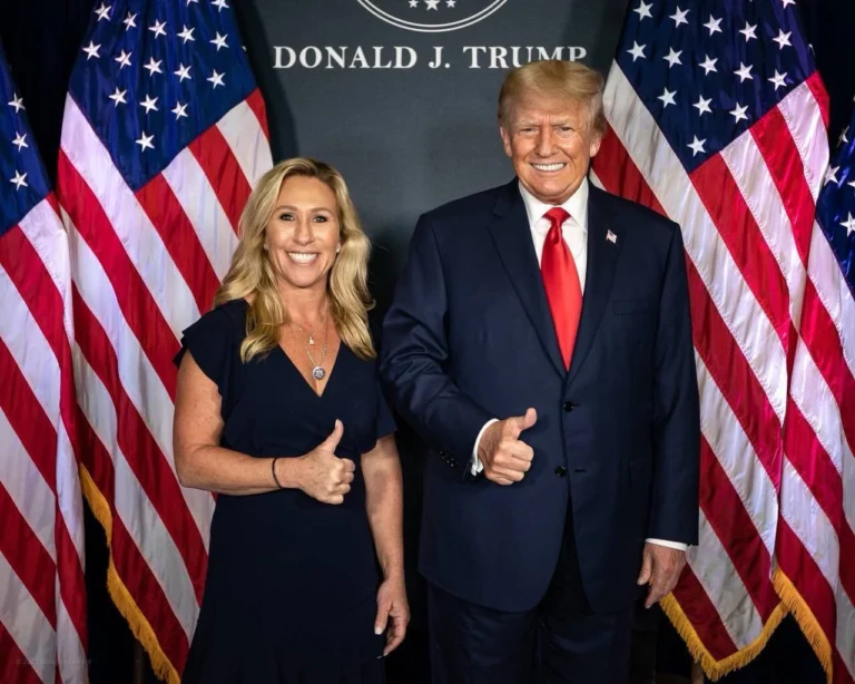 image 31 13 768x614 jpg