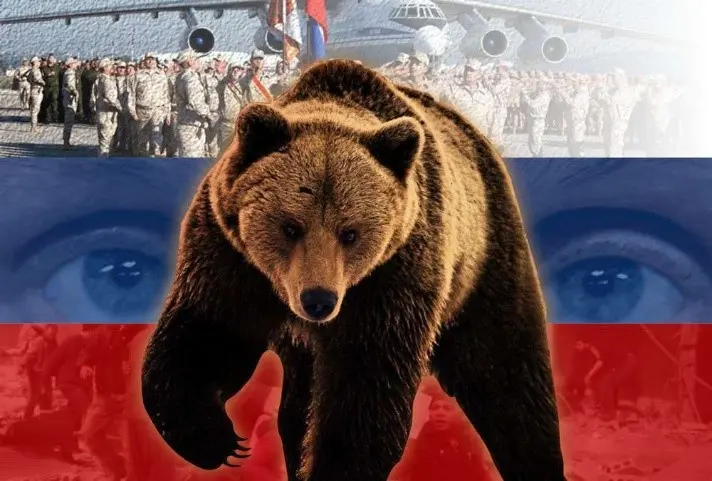 oso.jpg