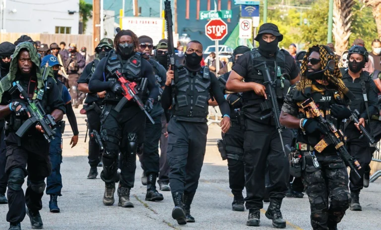 panteras negras
