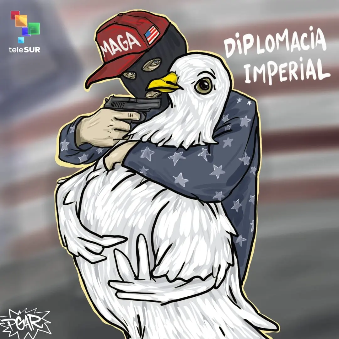 photo 5181695485499083706 y.jpg