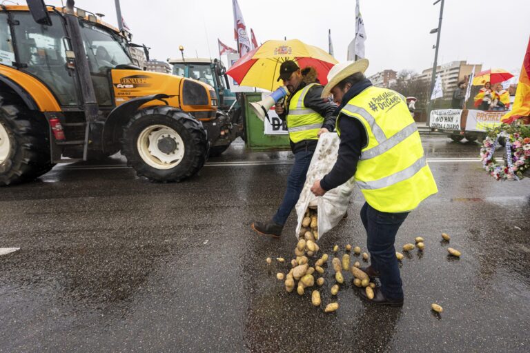 FOTO: Tractores y agricultores paralizan España en defensa del sector agrario/CORTESÍA