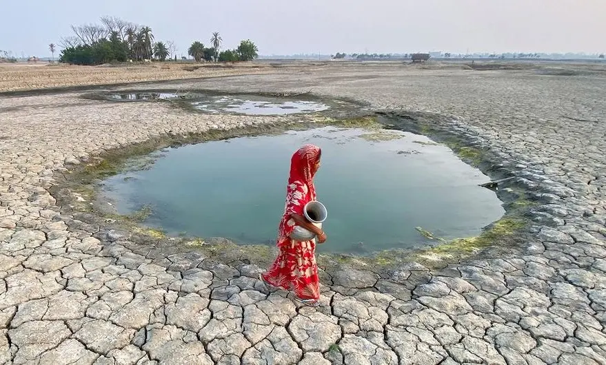 whatsapp image 2026 01 22 at 4 27 09 pm.jpeg