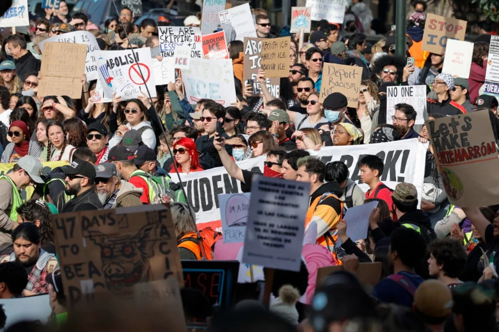 whatsapp image 2026 01 30 at 8 22 25 pm 2