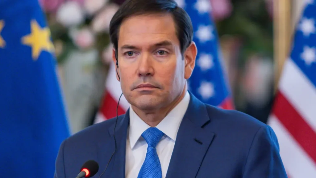 6991dcc801c3a6 00203151