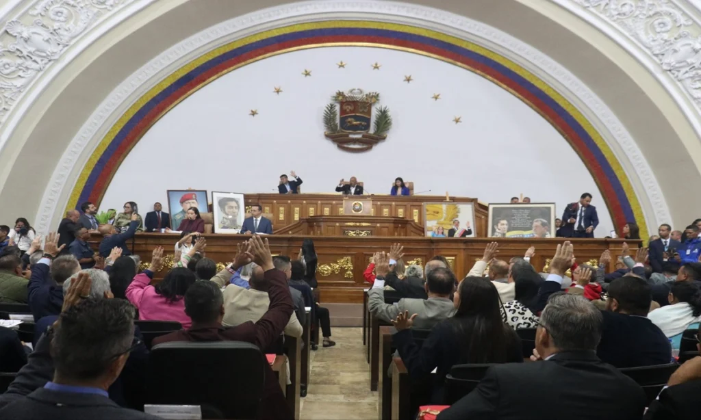 asamblea nacional amnistia