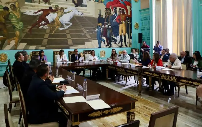 comision especial.jpg