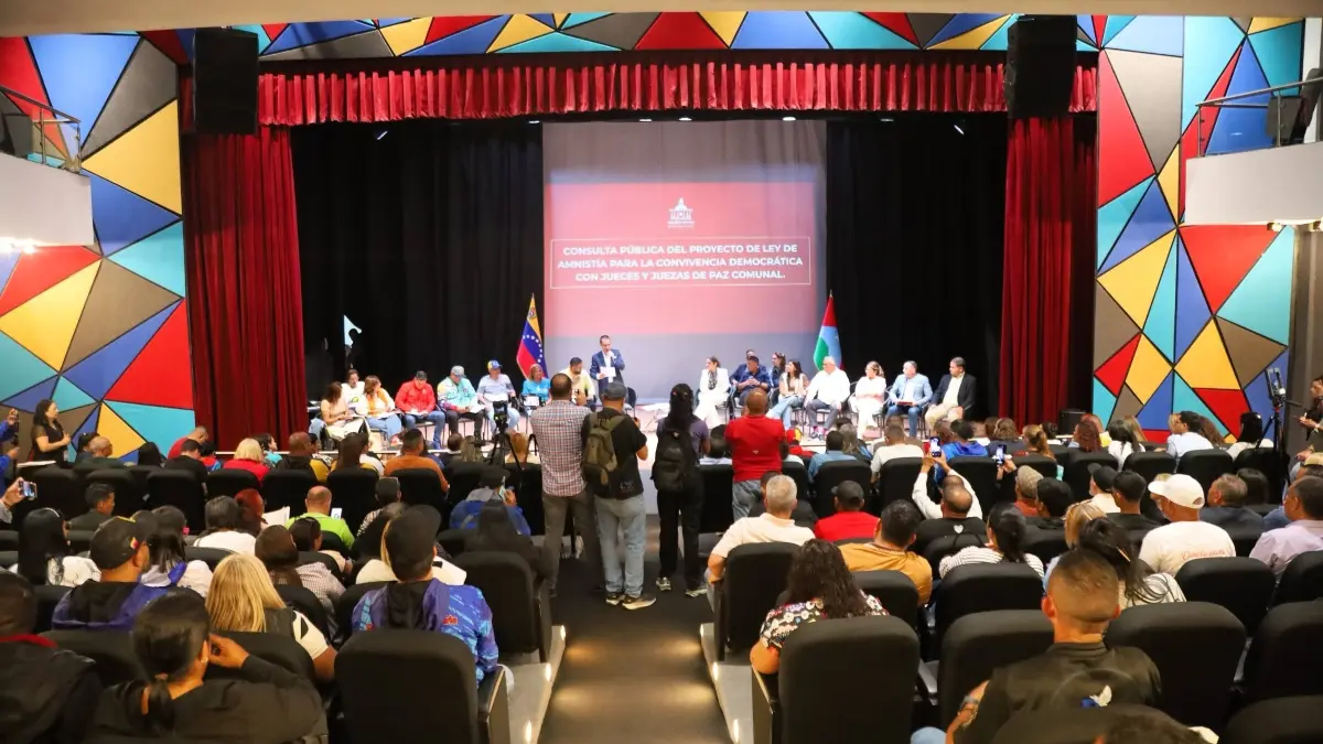 consulta ley amnistia jueces paz comunal 8feb2026.jpg