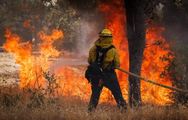 fuego everglades feb2026.jpg
