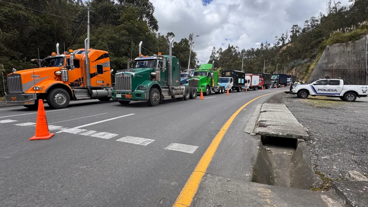 whatsapp image 2026 02 03 at 11 png 1950274189