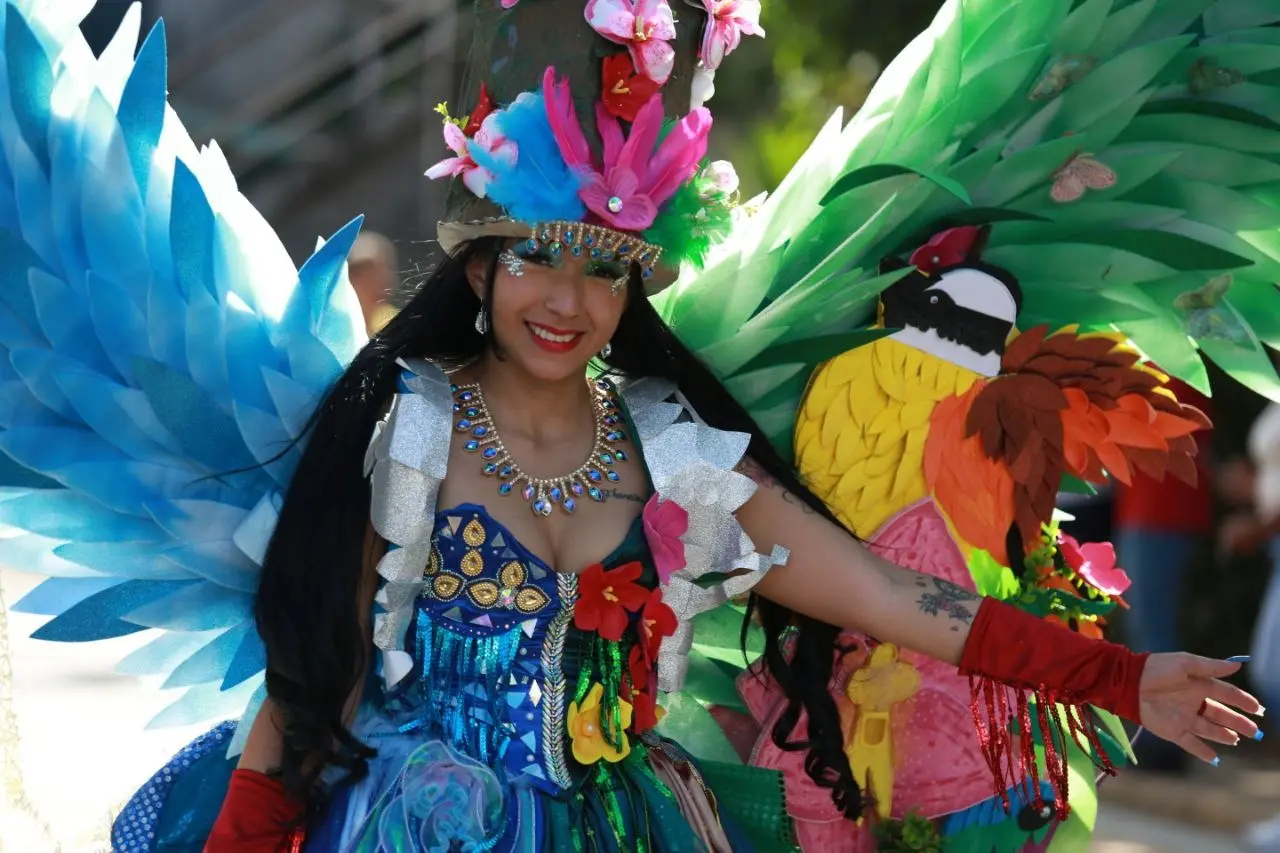 whatsapp image 2026 02 15 at 2 08 35 pm.jpeg