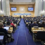 whatsapp image 2026 02 23 at 12 22 36