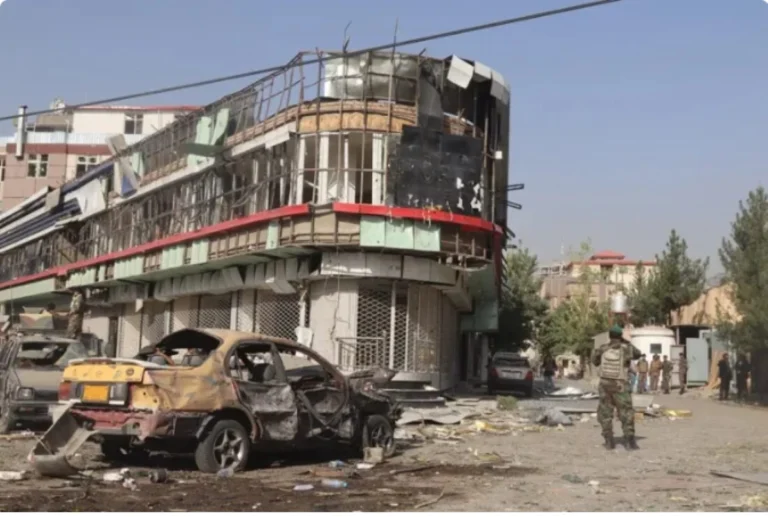 2026 03 13 at 01 45 38