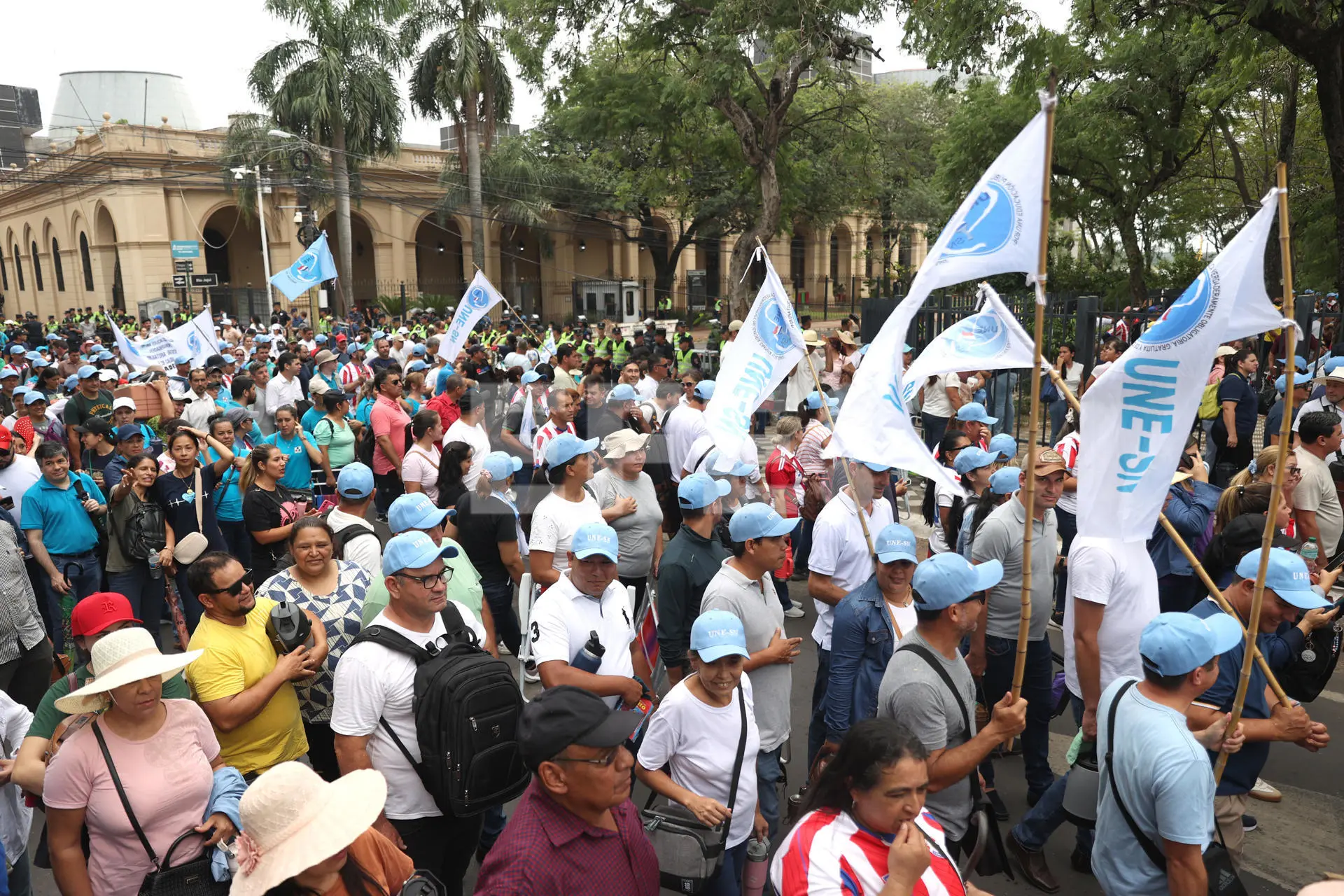 8023326393001w 1.jpg