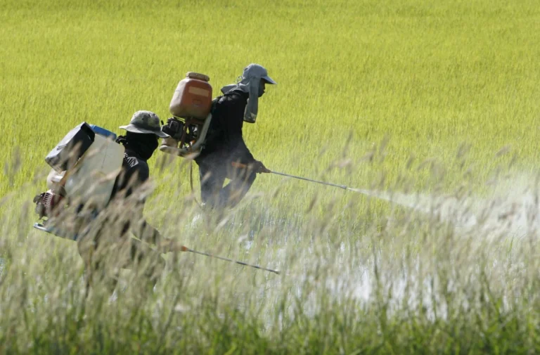 contaminacion pesticidas