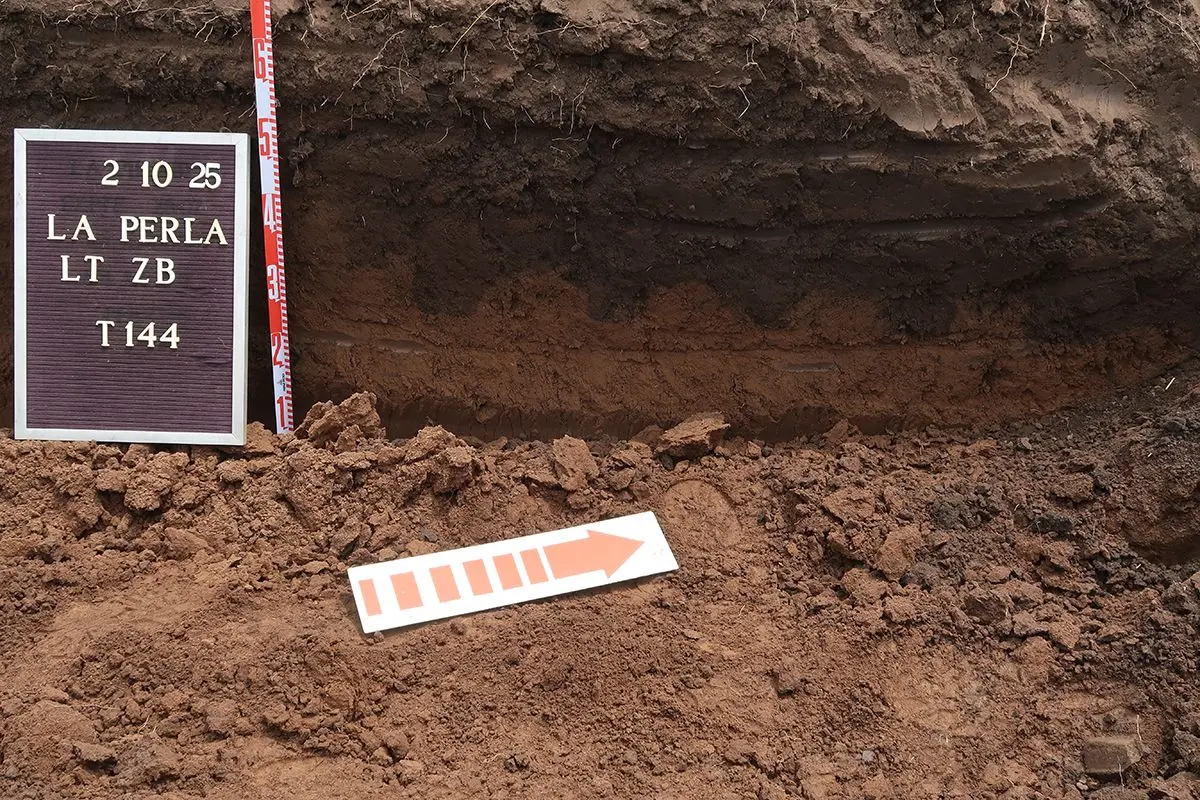 forense.jpg