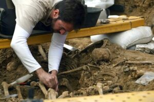 image 2026 03 11 162530658