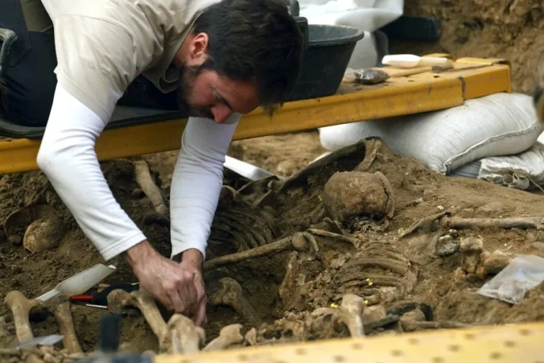 image 2026 03 11 162530658