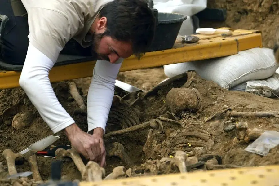 image 2026 03 11 162530658.jpg