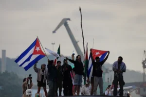 photo 5050902384032287611 y 1