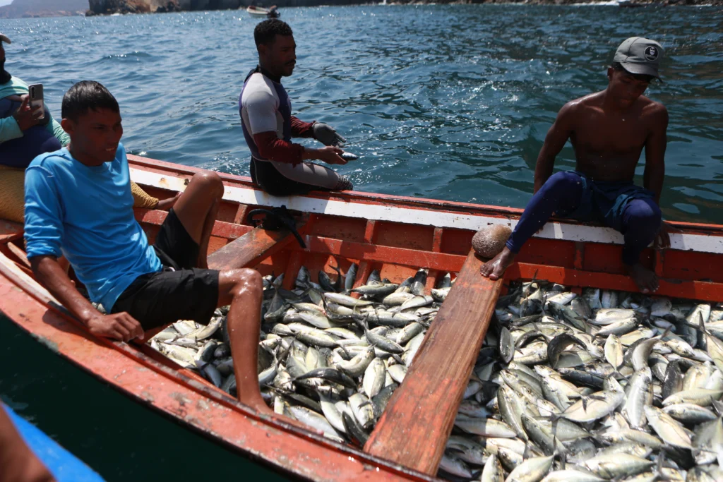 4 galeria pescadores