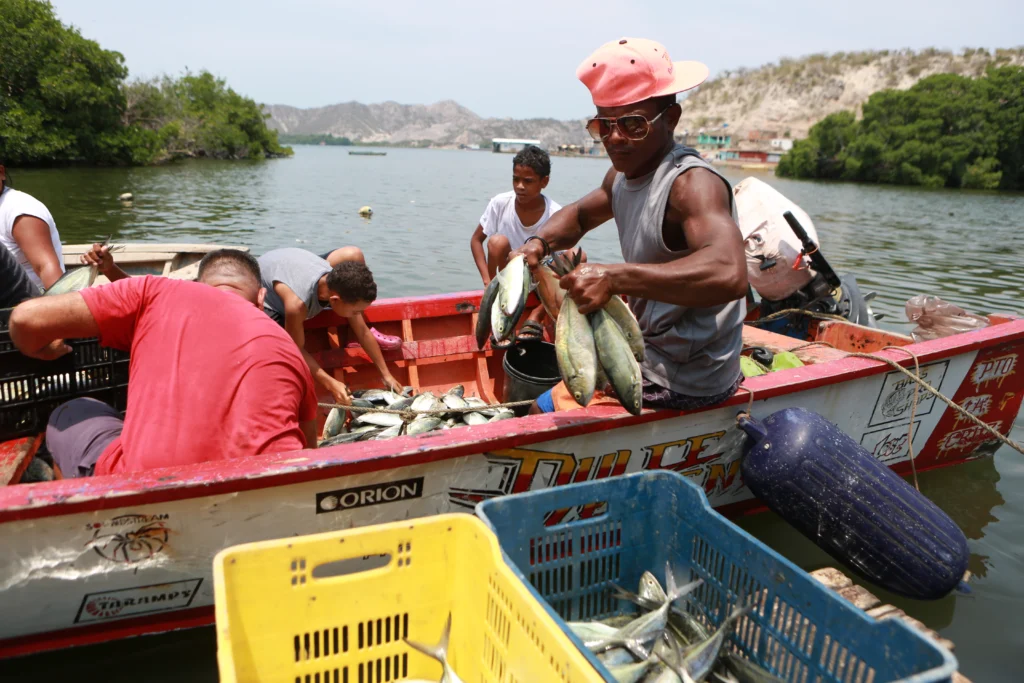 8 galeria pescadores