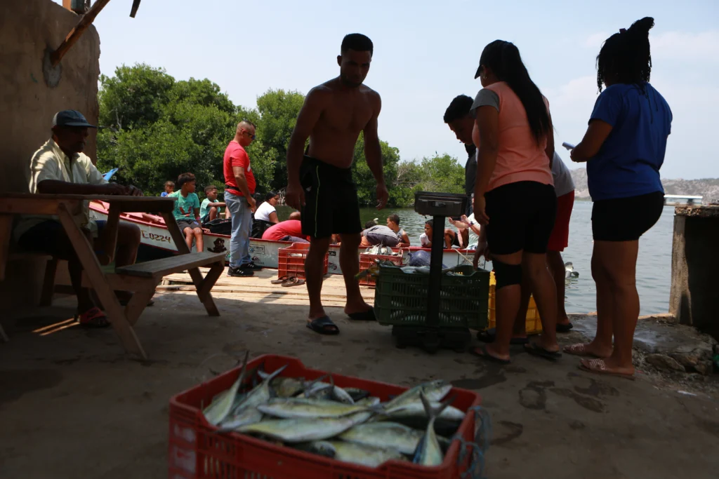 9 galeria pescadores
