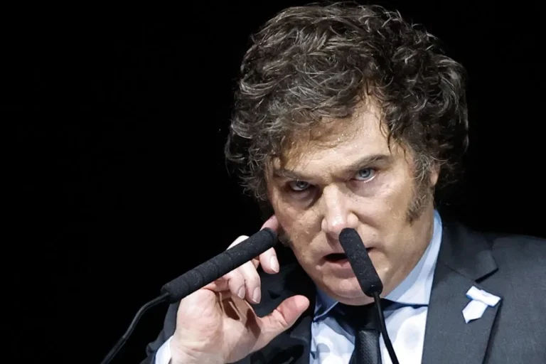 argentina presidente milei foto efe