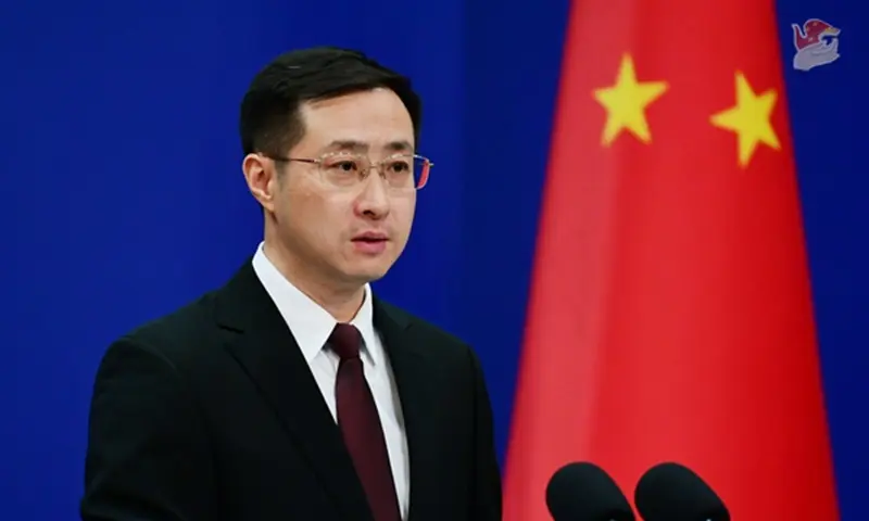 lin jian 1 1 1 1.jpg