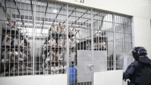 obj 20260130t175440s0028i 1 1 1 43 7 6